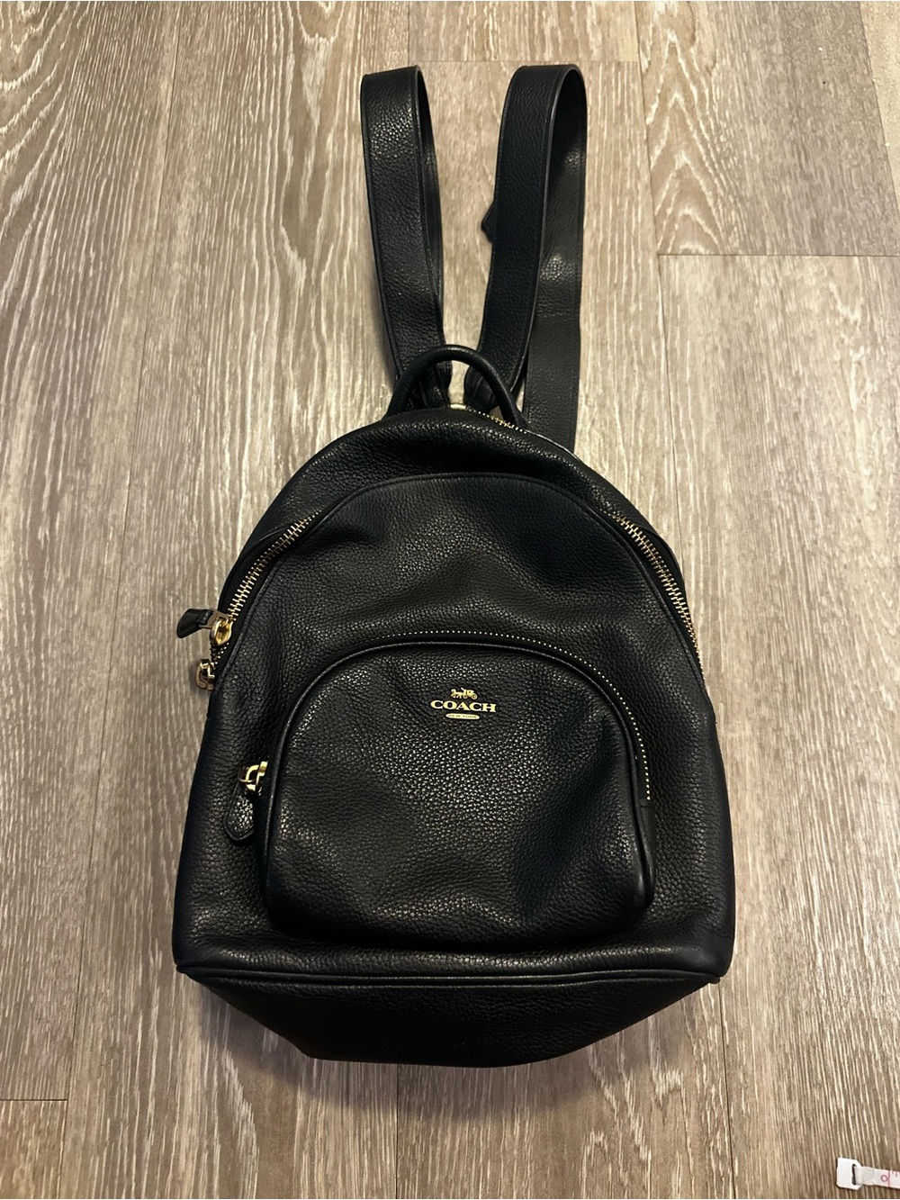Coach Court Backpack